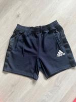 Adidas Shorts Größe L Neu Hansestadt Demmin - Demmin Vorschau