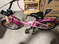 Fahrrad 16 Zoll Pegasus Nordrhein-Westfalen - Paderborn Vorschau