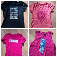 4 T-Shirts Shirts T-Shirt adidas puma 152 Mädchen Leipzig - Eutritzsch Vorschau