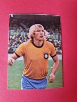 Marinho Chagas - Argentina 78 (Americana) - Nummer #253 - Sticker Bayern - Tittmoning Vorschau