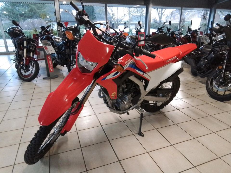 HONDA CRF300L in Leezdorf