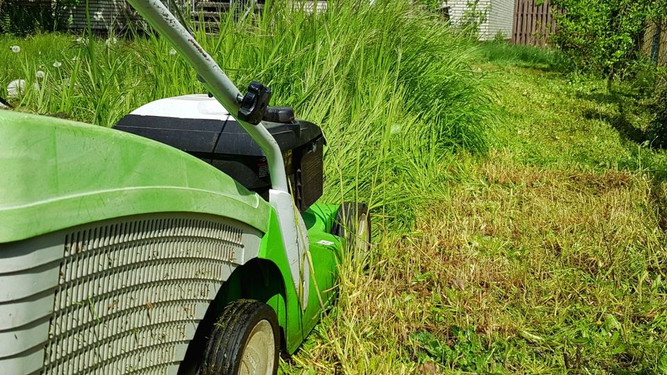 Gärtner | Gartenpflege | Rasenmähen | Hecke schneiden in Haren (Ems)