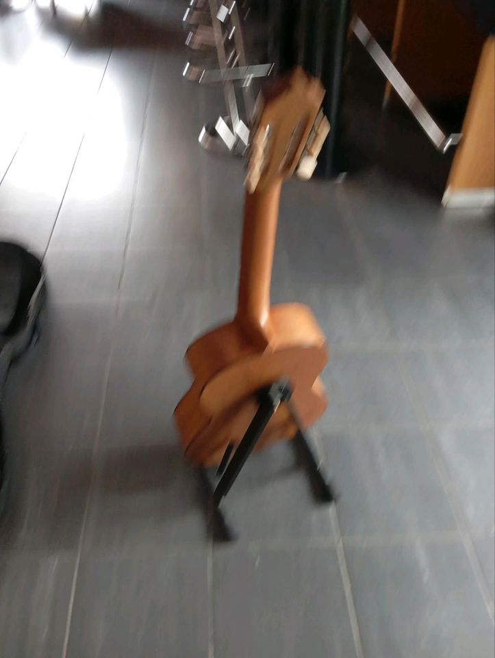 Didgeridoo / Cachon / Gitarre Linkshänder in Kaiserslautern