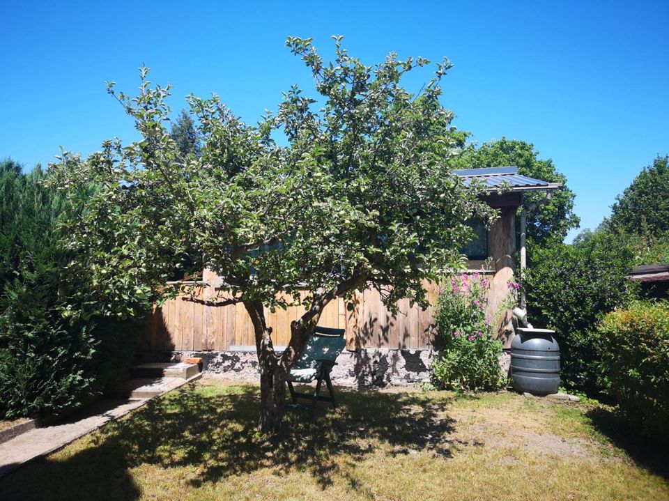 Gartengrundstück Eigentumsland Gartenanlage Eigentümer werden in Friedensstr., 15328 Küstriner Vorland(58km von Berliner Stadtgrenze) in Frankfurt (Oder)