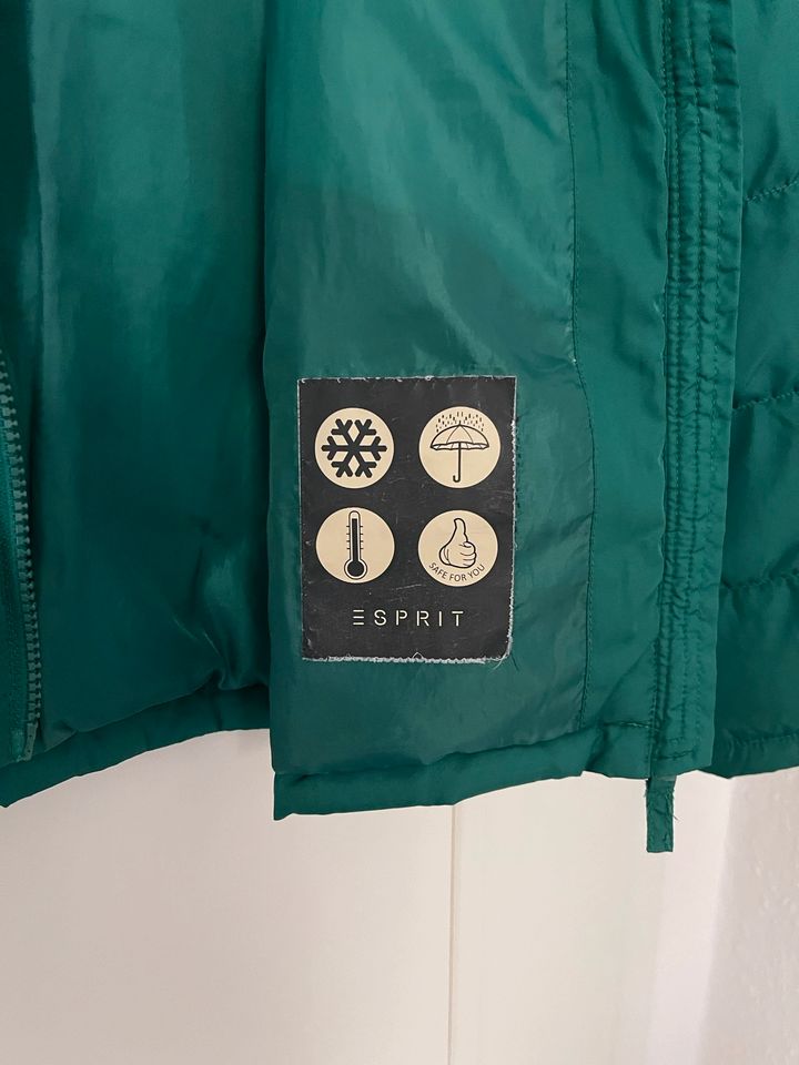 Winterjacke Esprit Größe 152/158 in Chemnitz