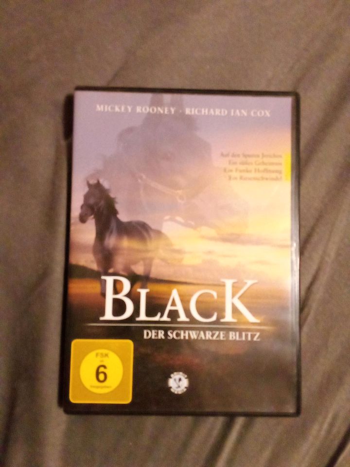 DVD Black Pferdefilm in Essen
