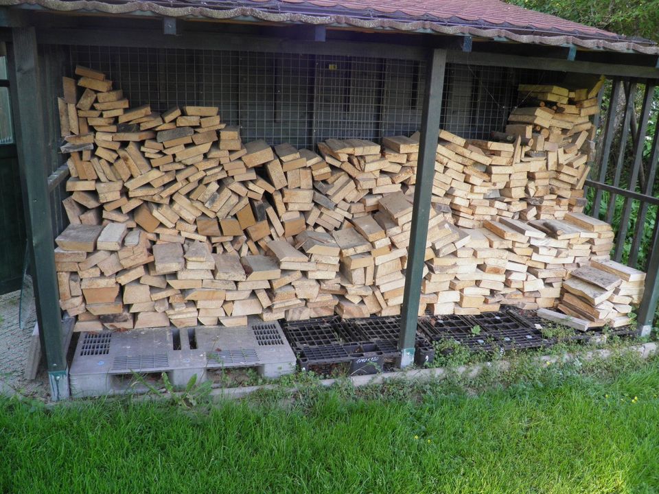 Brennholz 95% Buche 33 cm Trocken in Bad Birnbach