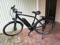 E-Bike Prophete Entdecker Trekking 8.8 Rheinland-Pfalz - Bad Bergzabern Vorschau