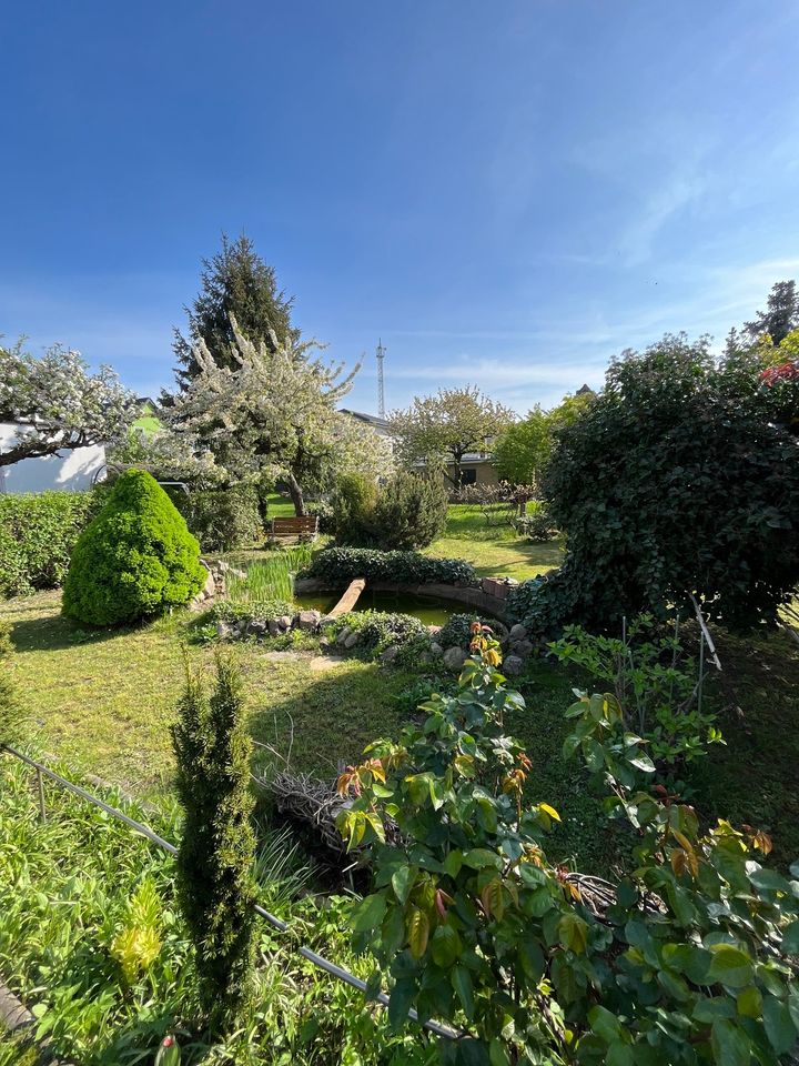 Wohntraum in Grün: Geräumiges Einfamilienhaus mit viel Nutzfläche und idyllischem Garten in Jessen (Elster)