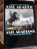 Asil Araber Asil Arabians , Stammbaüme mit Bildern Hessen - Oestrich-Winkel Vorschau