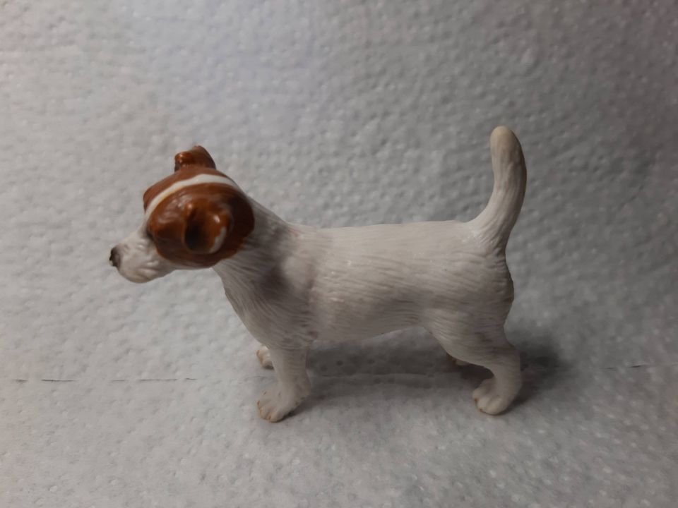 Schleich - Jack Russel Terrier - 13916 in Wörth am Rhein