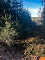 Suche Waldgrundstück Forstflächen Kahlhieb Biotop Bayern - Schönberg Vorschau