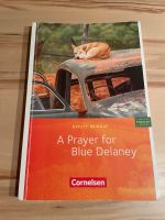 ❤️ A Prayer for Blue Delaney Kirsty Murray Cornelsen English ❤️ Nordrhein-Westfalen - Oer-Erkenschwick Vorschau