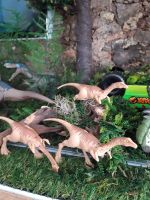 3 x Jurassic World Gallimimus Mattel 2018 JW Fallen Kingdom Schleswig-Holstein - Borgstedt Vorschau