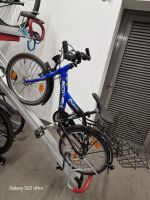 Kinder Fahrrad 20 Zoll Altona - Hamburg Bahrenfeld Vorschau