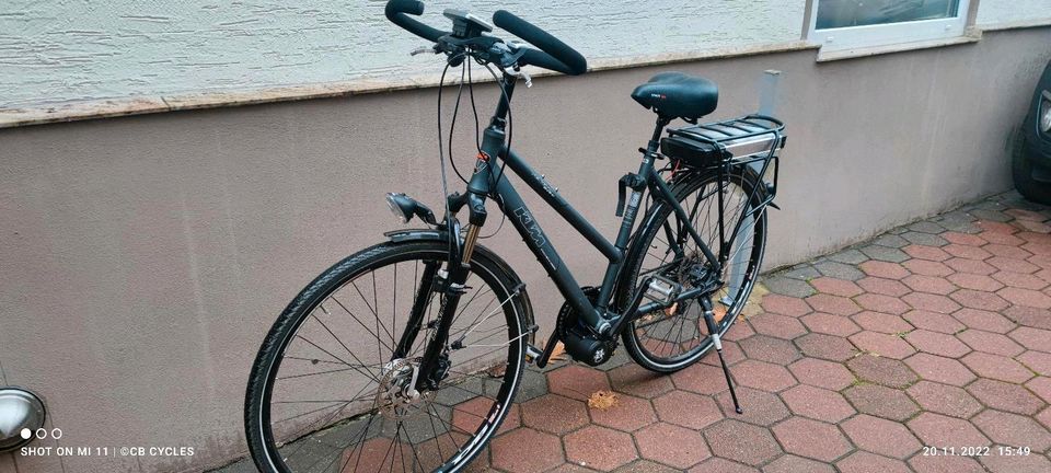 E-Bike Pedelec Umbauen Dogscooter zum E-Dogscooter Umbauen in Gladbeck