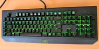 Gaming Tastatur Razer BlackWidow Ultimate Nordrhein-Westfalen - Hattingen Vorschau