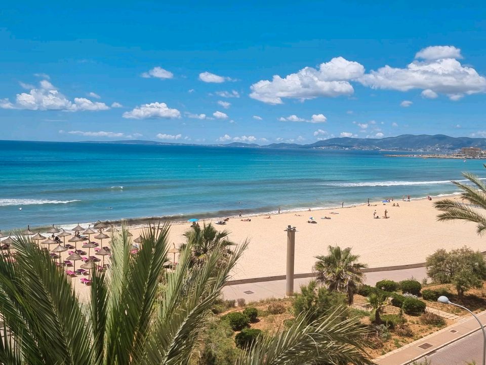 Urlaub in Ferienwohnung  abzugeben in Mallorca Playa de Palma in Hagen