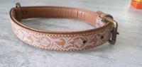 Hunde Halsband Michur in beige - 56,5 cm Sachsen-Anhalt - Sandersdorf Vorschau