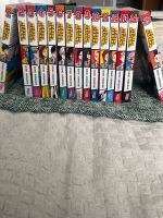 My Hero Academia Manga Reihe Vol. 1-15 (Deutsch) Berlin - Hellersdorf Vorschau