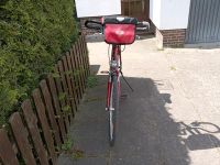 28 Zoll -21 Gang Trecking Fahrrad Niedersachsen - Uelzen Vorschau