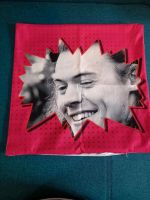 LHH Harry Styles Kissenhülle Kissenbezug 45x45 cm Hessen - Kassel Vorschau