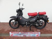 HONDA SUPER CUP 125 C125 Schleswig-Holstein - Lütjenburg Vorschau