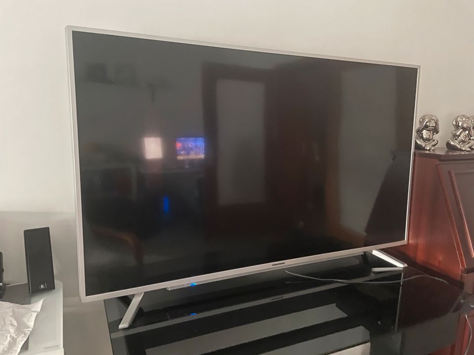 Grundig Fernseher in Bedburg