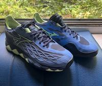 gut erhaltene Sand Tennisschuhe 45 Mizuno Wave Enforce Tour Altona - Hamburg Ottensen Vorschau