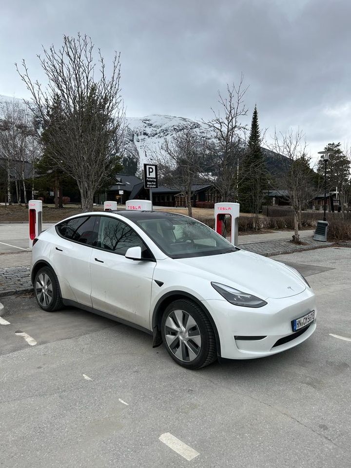 Tesla Model Y AWD LR mit Spoiler & Winterreifen in Schwaigern