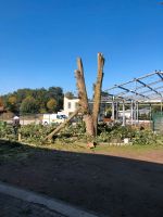 Lagerplatz Lagerfläche Siloplatte Scheune Nordrhein-Westfalen - Saerbeck Vorschau