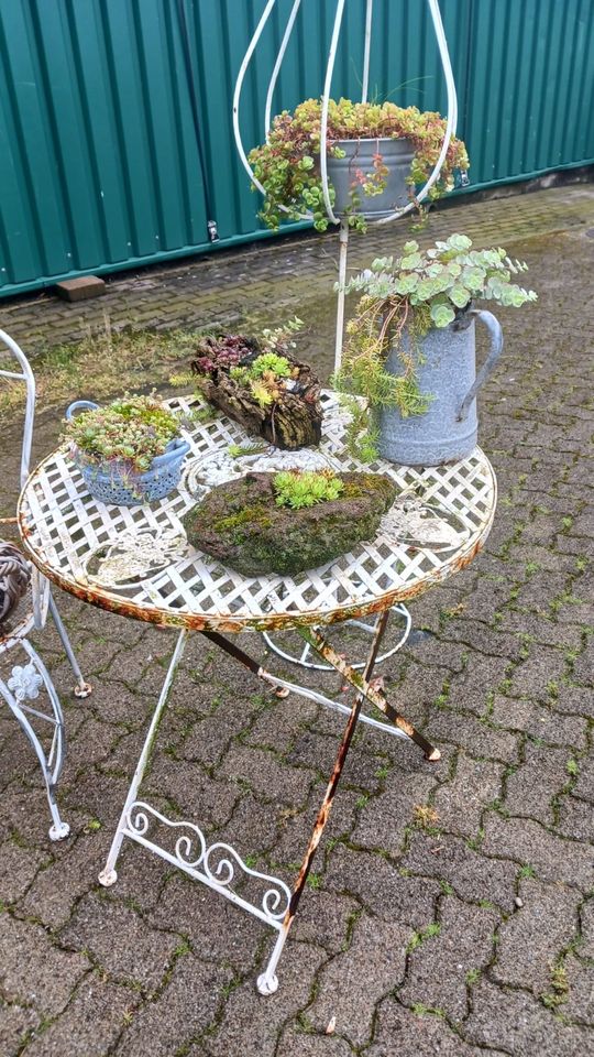 Garten-Deko-Set, Tisch mit Stuhl, Metall, weiß, mit Pflanzen in Bocholt