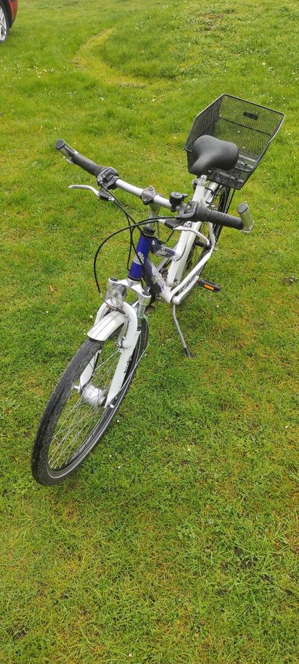 26 Zoll Pegasus Mädchenrad Damenrad Fahrrad Rad in Malente