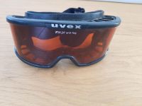 Uvex Skibrille Snowboardbrille Stuttgart - Feuerbach Vorschau