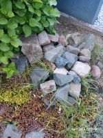 Steine zu verschenken Nordrhein-Westfalen - Bergheim Vorschau