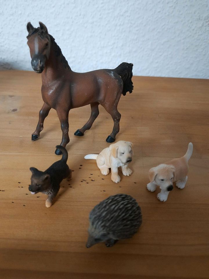 Schleich Tiere Elfe Ritter Pfau Schaf Pferd Hund Igel Kalb Ziege in Frankfurt am Main