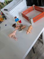 Playmobil Set Schweine Ferkel Gehege Nordrhein-Westfalen - Hennef (Sieg) Vorschau