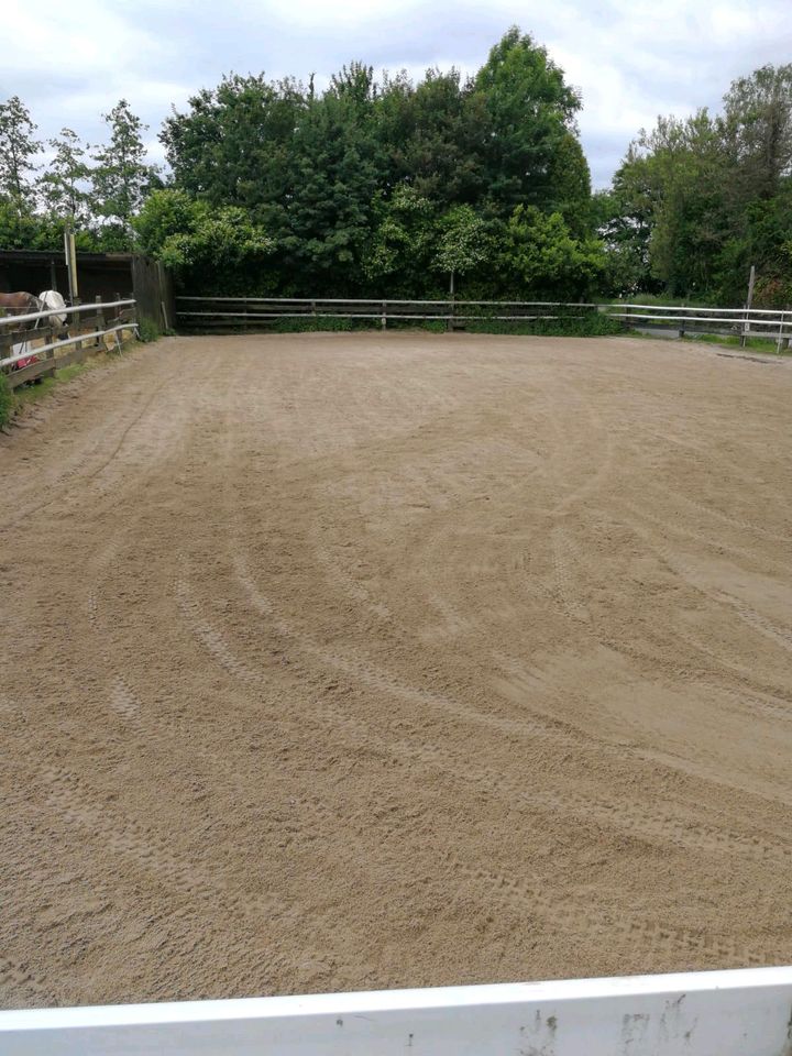 Biete große luftige Außenboxen/Rehe geeignet in Velbert