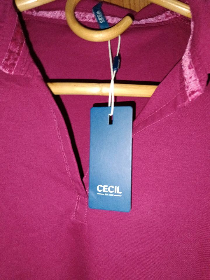 Cecil Shirt in Größe XXL in Gablenz