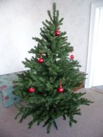 Weihnachtsbaum 180 cm Christbaum Tanne Weihnachten Deko Dresden - Bühlau/Weißer Hirsch Vorschau