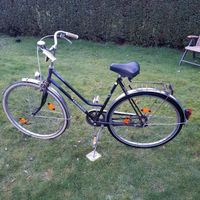 Vintage 28" Columbus Rad Lady Edelstahlschutzbleche Schwalbe Bere Nordrhein-Westfalen - Marl Vorschau