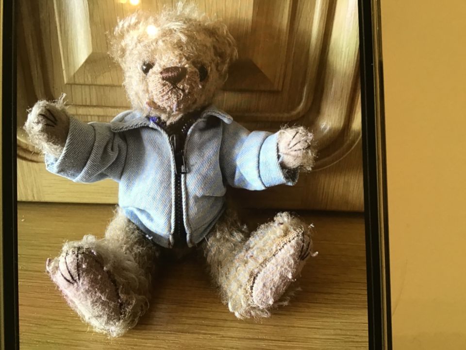 Teddybär sehr alt in Lappersdorf