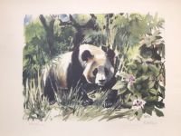 Limitierter WWF (World Wide Fund) Druck Panda Hamburg - Bergedorf Vorschau