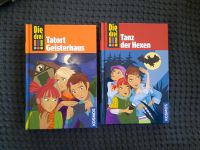Die drei !!! Tatort Geisterhaus und Tanz der Hexen Maja von Vogel Baden-Württemberg - Notzingen Vorschau