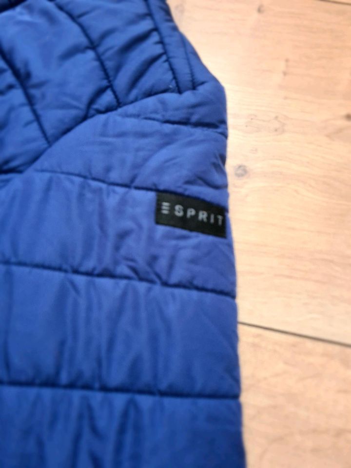 Esprit/leichte Winterjacke/152-158/ Jacke/blau in Parsberg