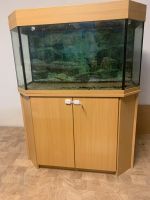 Aquarium mit Unterschrank Nordrhein-Westfalen - Hamm Vorschau