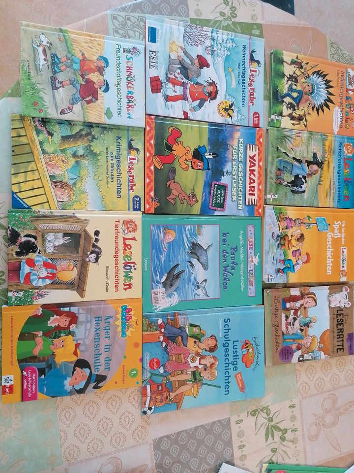 Kinderbücher Leserabe und Leselöwe in Eltmann