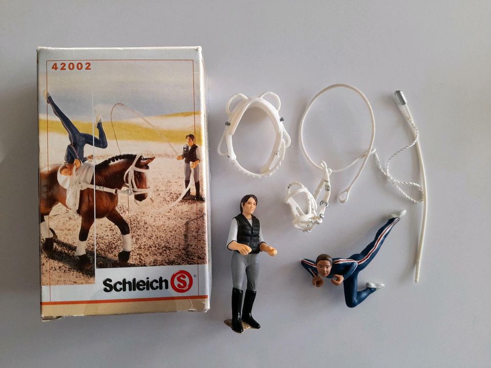 Schleich Reitsets Pony Freizeit Dressur Western Voltigierset in Körbelitz