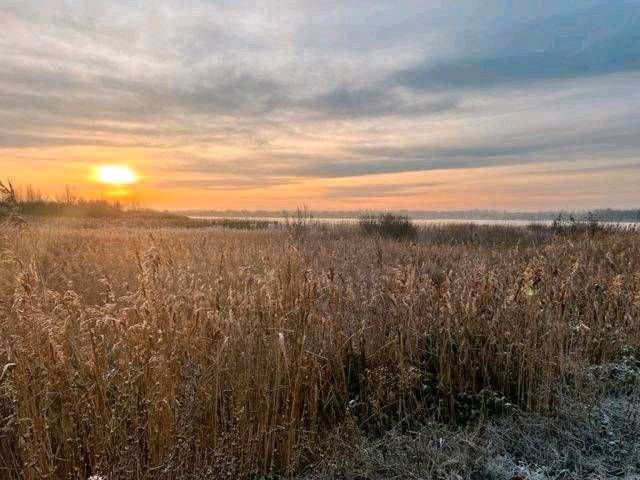 ‼️Chalet, Lauwersmeer, Wattenmeer, Hund, Niederlande,Lauwersoog in Remscheid