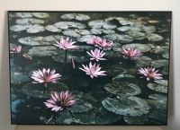 Bild auf Holzrückwand ** Beautiful Pink Lotus Water Lilies Bloom Bayern - Lindenberg im Allgäu Vorschau